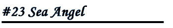 Sea Angel