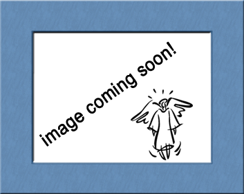 Image coming soon!